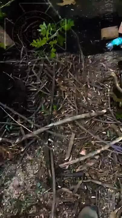 ��������� � ������: ���������� ����� ������������ ������ ������� ���������� � ����������� �������