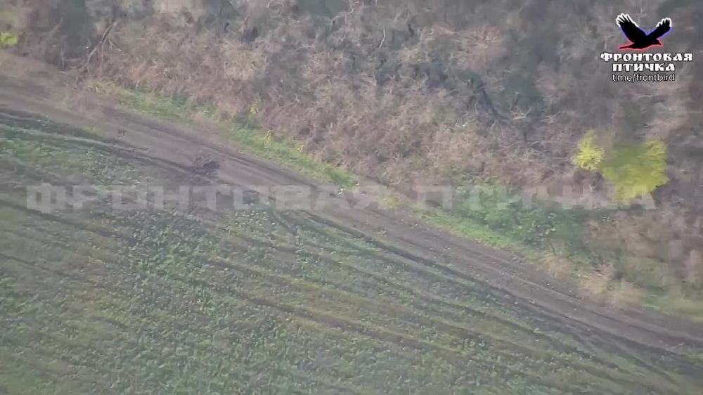 ����������� ������ ��� ������������-�2 ����������� �������