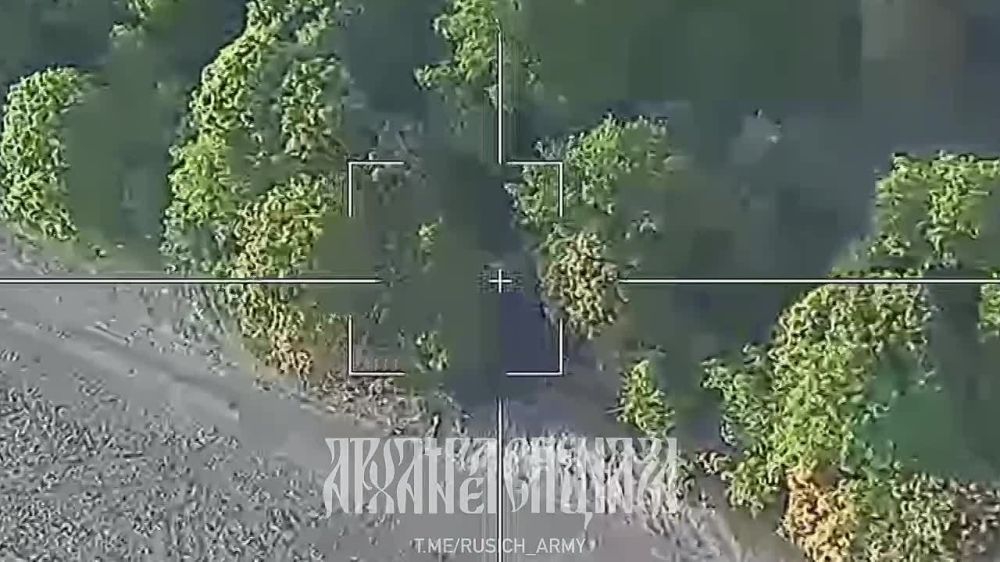 ����������� �����������: