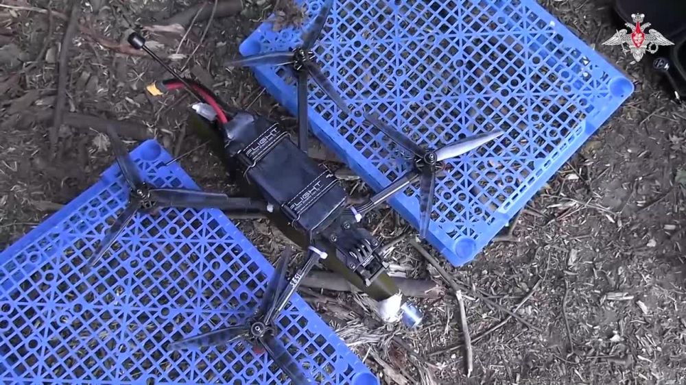 ��������� �������������� ����������� ������, ������, ���, ������, ������� � ������ � ���� ���������� ����������� ������� �������� (�� ��������� �� 23 ��� 2024 �.)