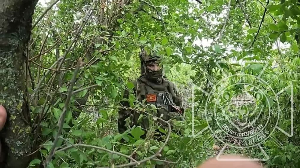 Плетеневка, Волчанский район, Харьковская область