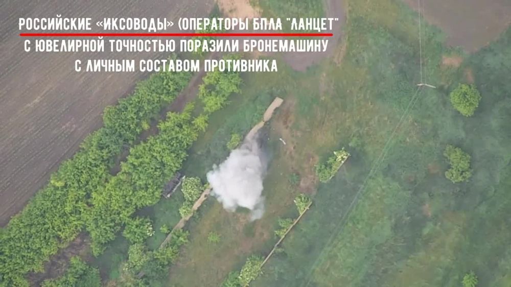 ��� ������: ����������� �������, �������