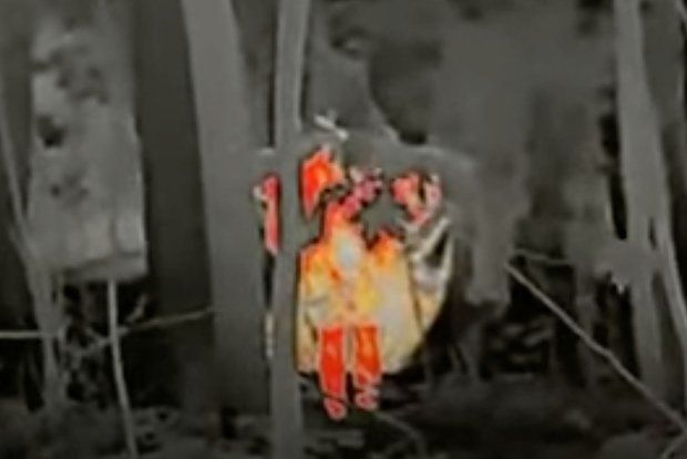 ������� ���������� ���������-��������� � ���� ���