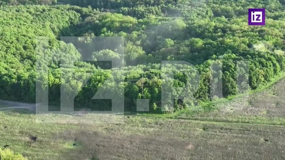 ������ ���������� ���������� ����������� "�����" �� ������������ ����������� � ����������� �������