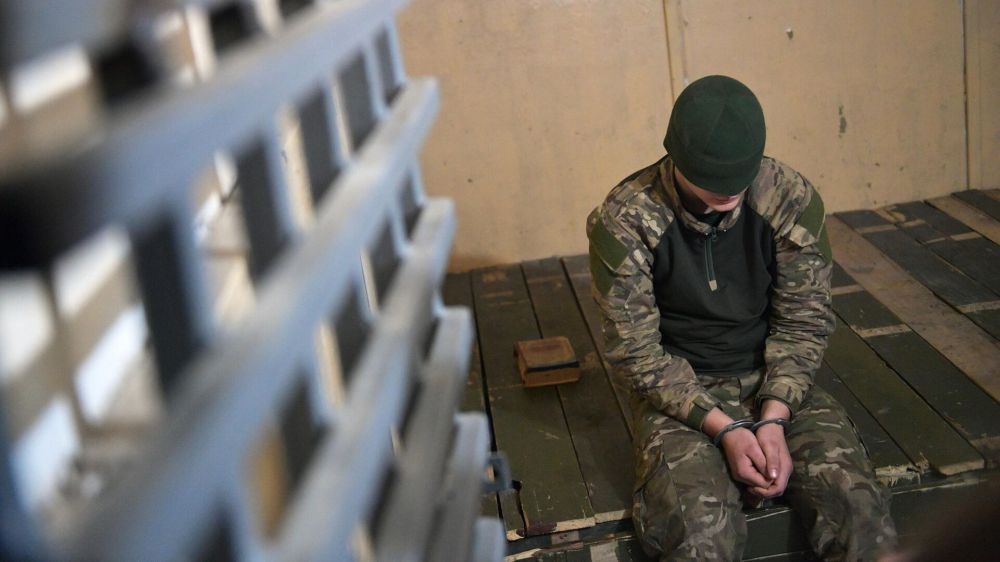 ������� �����: �� ������ � ���������� ���� ������� 67 ������ ���