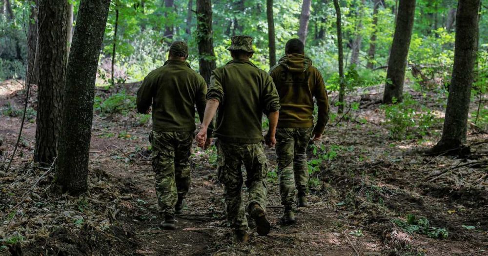 ��� �� ������ �������� ����� 11,2 ����� �������� � ���� ������������