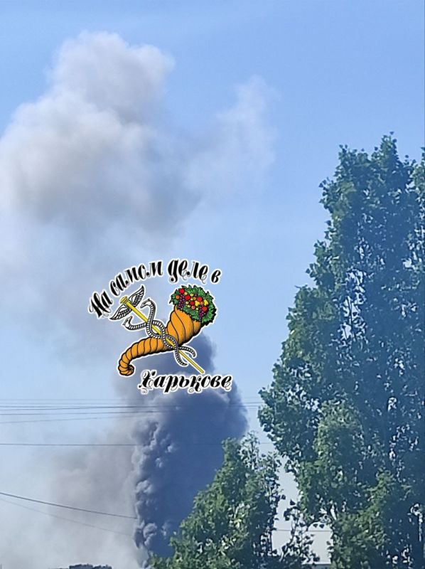 �� ����� ������� ����������� ����� ����