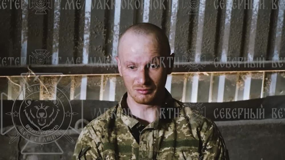 ��� ������: #����������_�������������