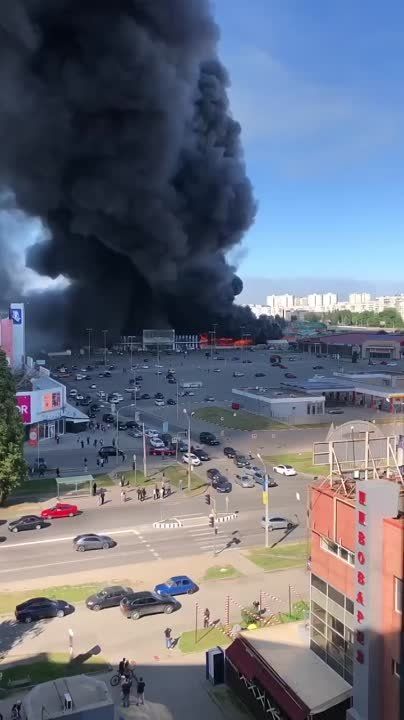 ��� ���� ����� �� ��������