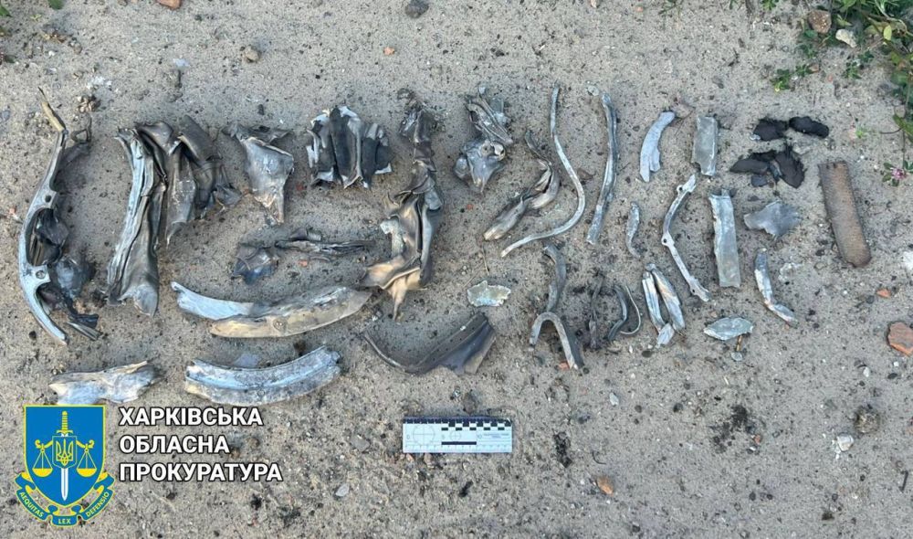 �� �������� � ��������� ����������� ������� ���� ����� �������� ��������� ���������-̻ � ����� ������������ �����������