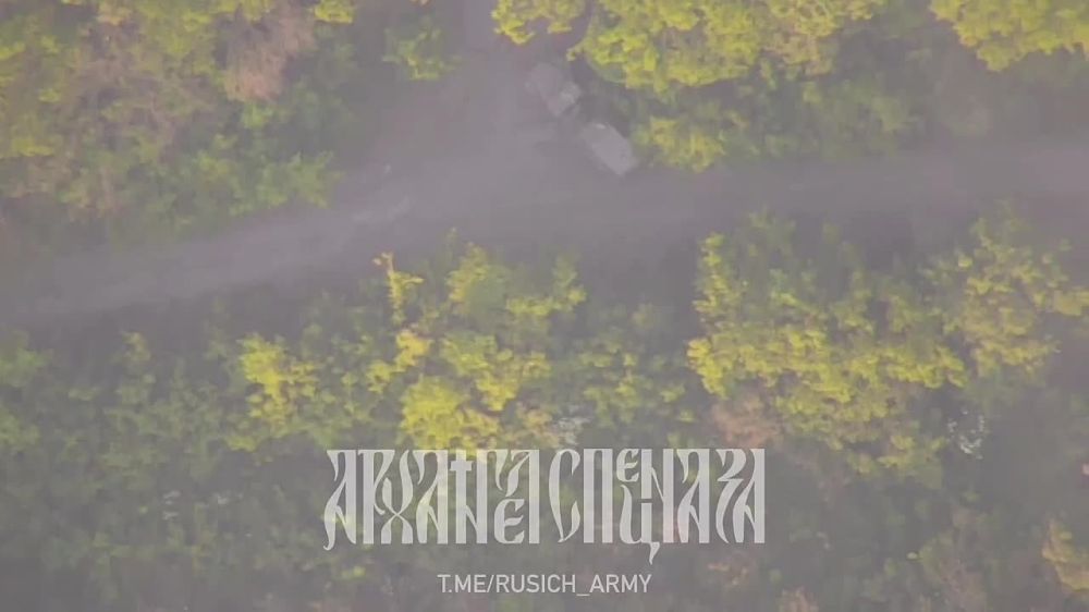 ����������� �����������: