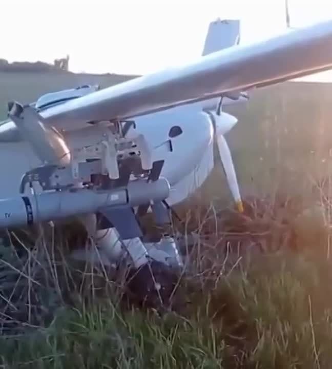 ����������� � ������� �������