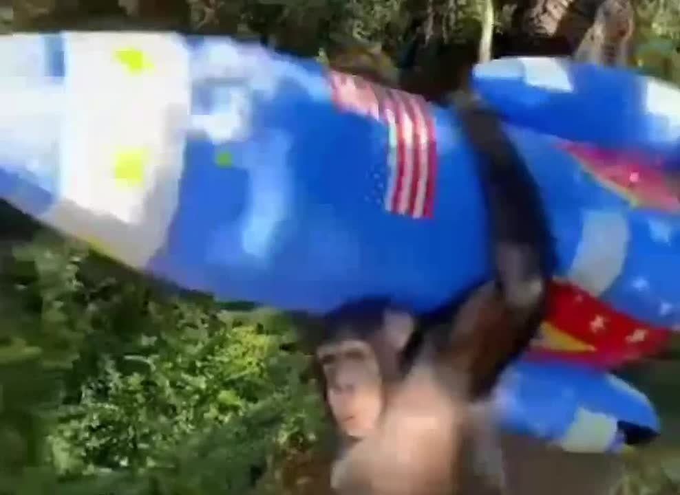 �������� ������ ���������� ���������, �������� ������ ���� �� ��������, �� ���� ������ �� ��������� ���� �� ���������� ������. ��������� �������� ��� �������� ����� �������