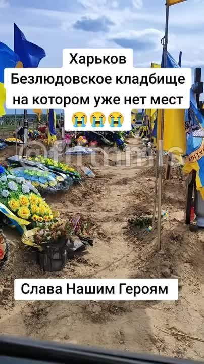 � �������� ��� �����������