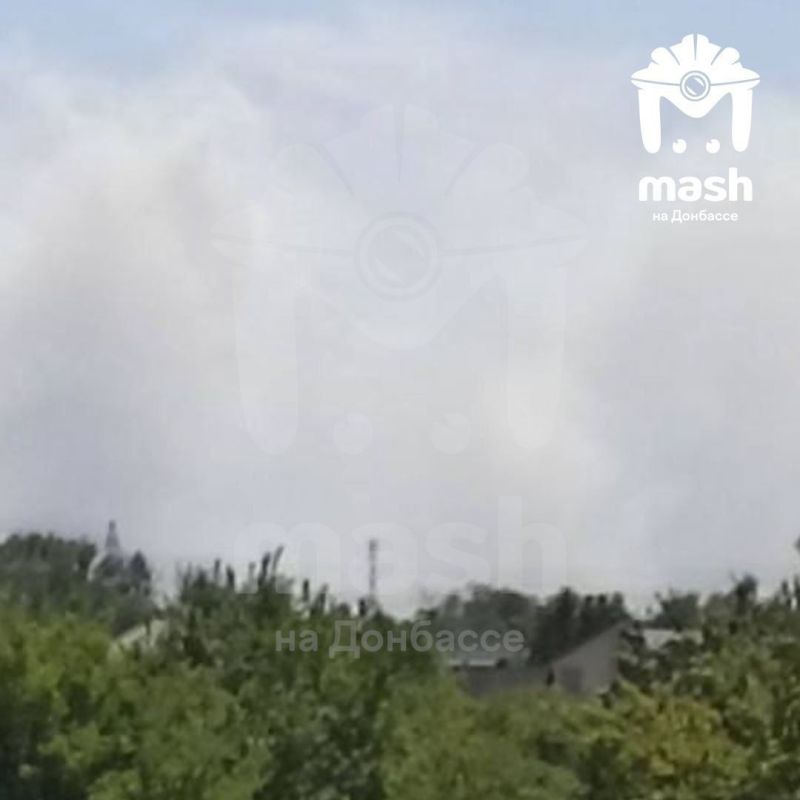 ���: ��� ���������� ����� ���������� ���-29