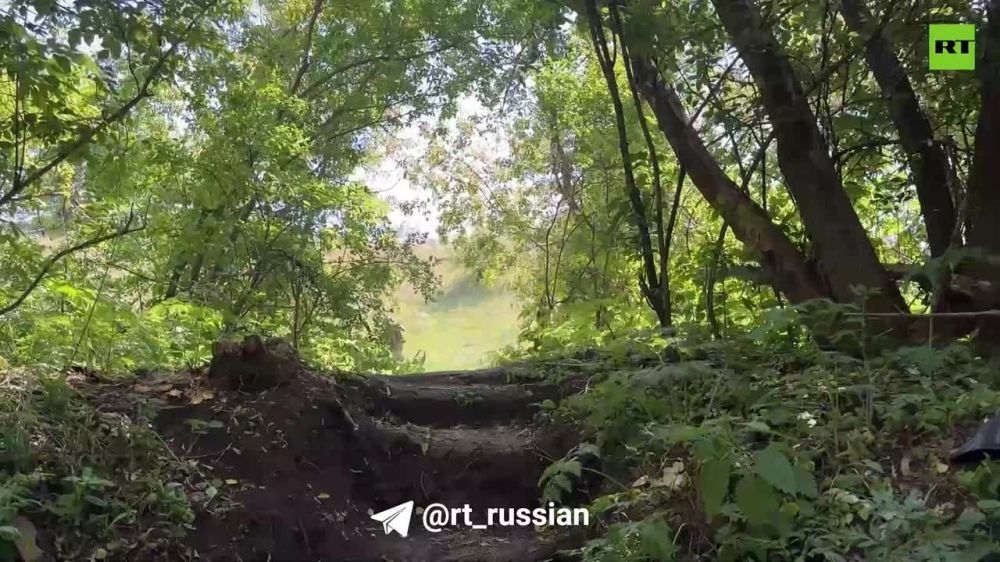 ��������� � ���������� �����������: ���������� ���������� ���������� ������������ �������� ����������