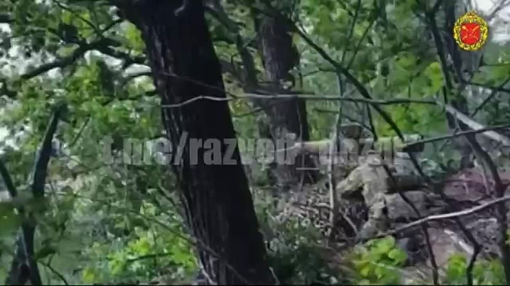 Работа операторов дронов-камикадзе «Ланцет», FPV-дронов, а также корректировка артиллерийского огня 6-й ОА в Харьковской области