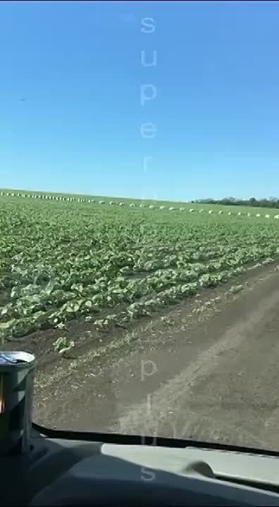 ����� ������� ���-�� � ����������� �������