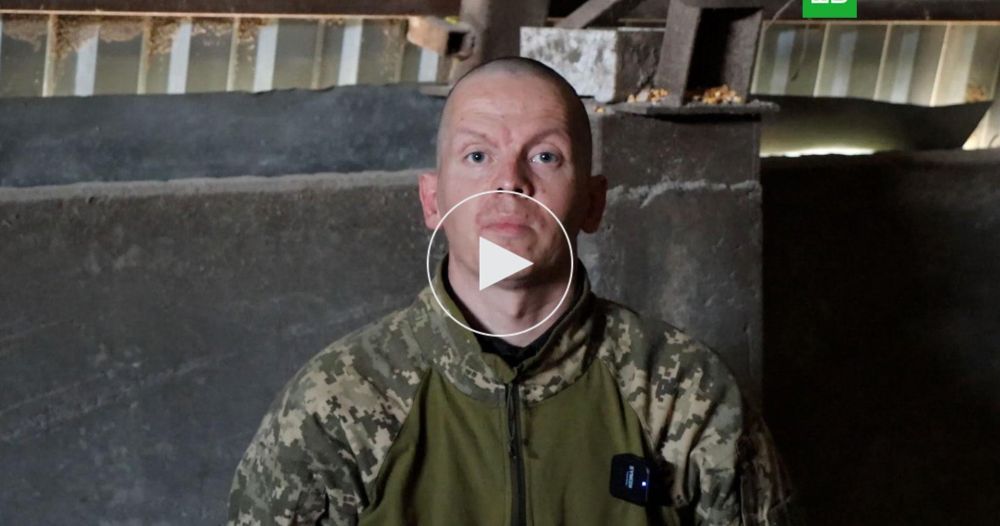 ������ �����: ���������� ������� ��������� � �������� ����� � ����� ���