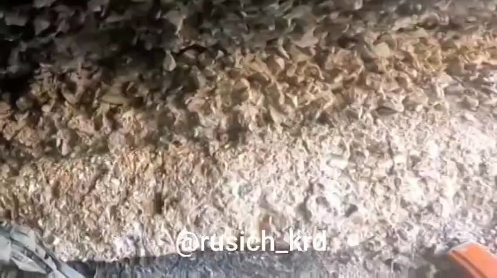 �������� ����� ������ � �������� ������� ����� �� ������� ����