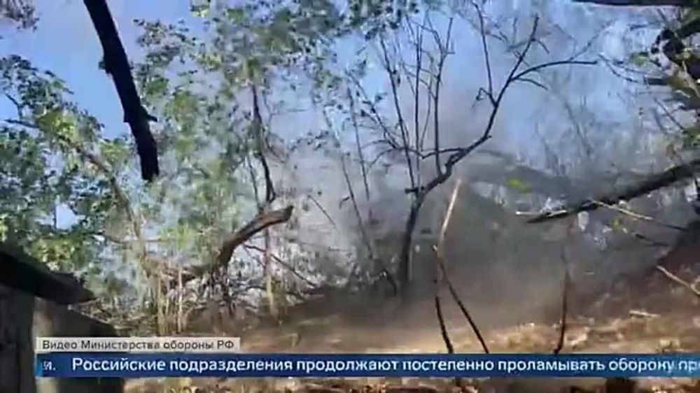 ������� � ����� ���������� �������� �� ����������� ������ ��� ��� ������ ���������� �������� ���-29