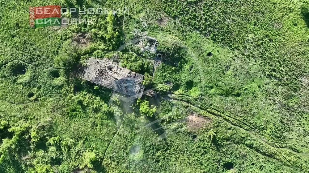 ������ ����������� ��� ����� ������������ �113 ����������� ���� 47-� �������� ������� 7-� ��� �� ��������� �����������