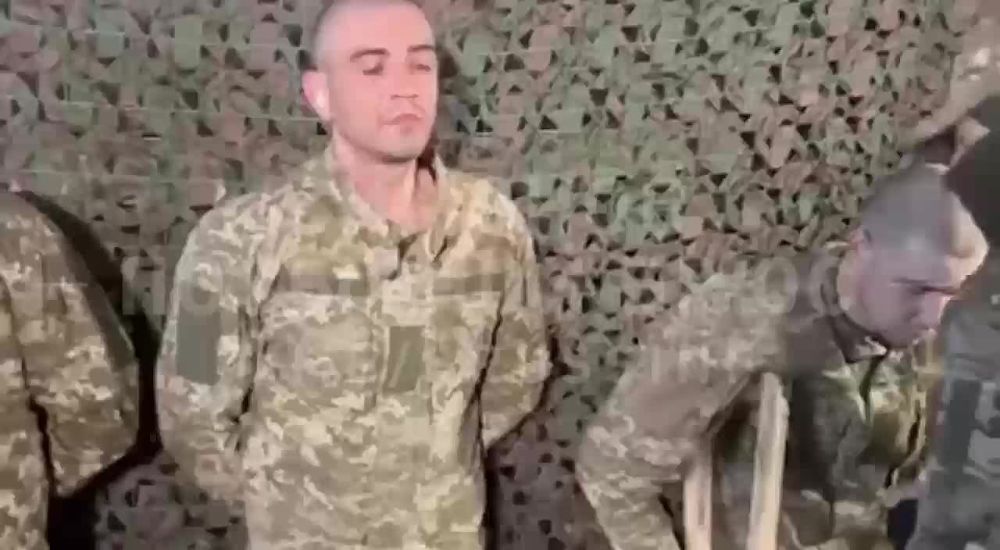 ����� �� ��������: �� ����������� ����������� ����� � ���� ��������� ������ ���������� ��������