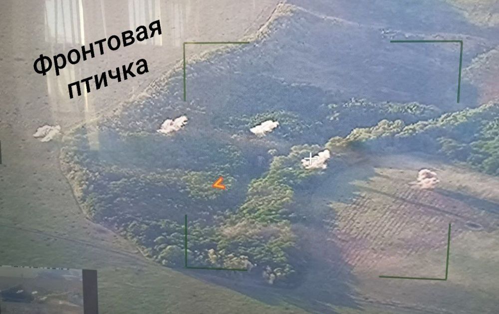 �������� �����. ����������� �������