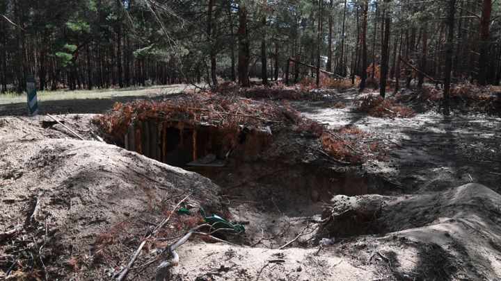 Депутат Водолацкий: под Харьковом строят землянки, чтобы укрыться от властей