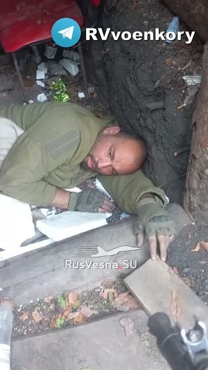 ��� ������� ����� ����������������� ����� ������ ����� ����������