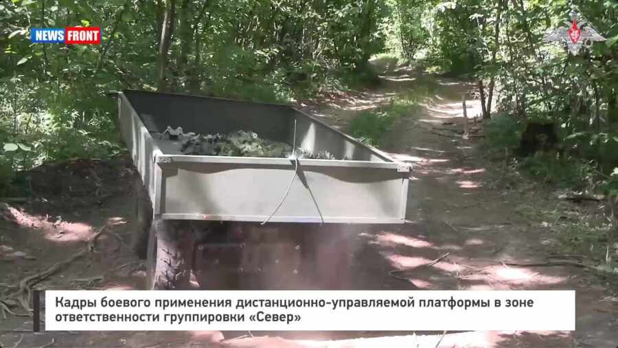 ����� ������� ���������� ������������-����������� ��������� � ���� ��������������� ����������� ������