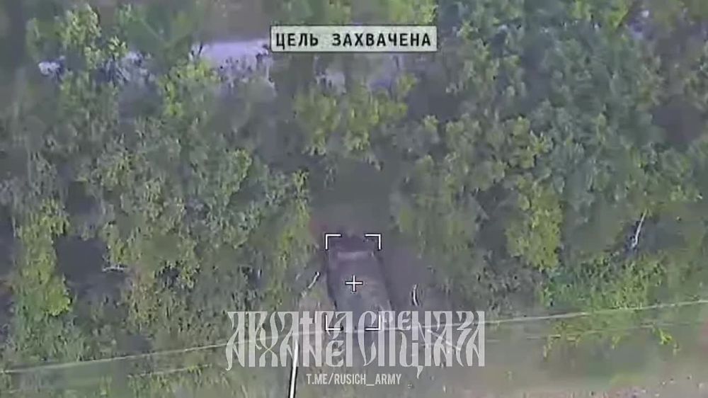 ����������� �����������, �.�