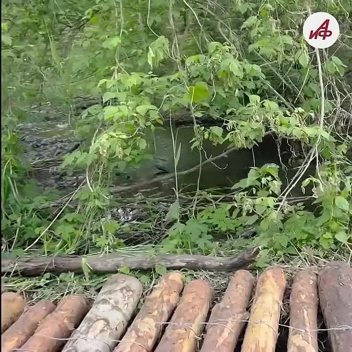 ����������� �� �������