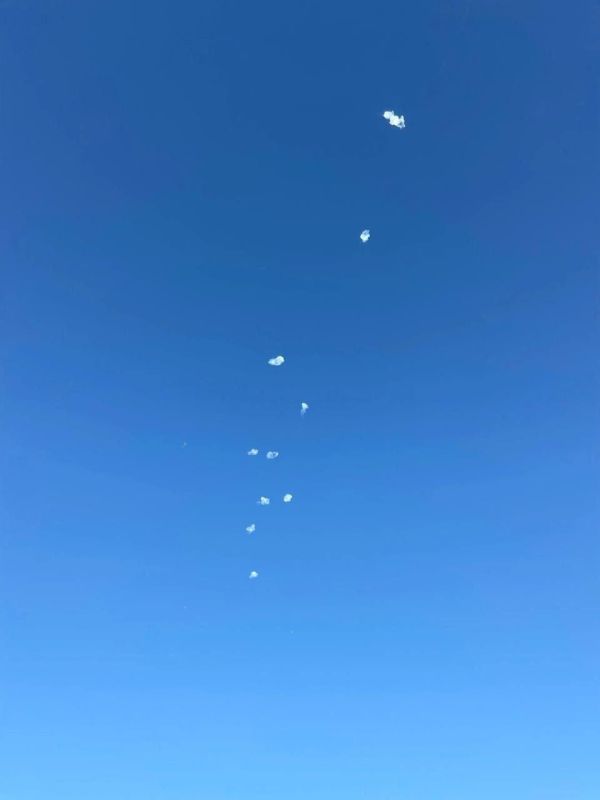 ���� ������� ����� � ��� ������ ���������� � ���������� ��������� �������� ������������ �������