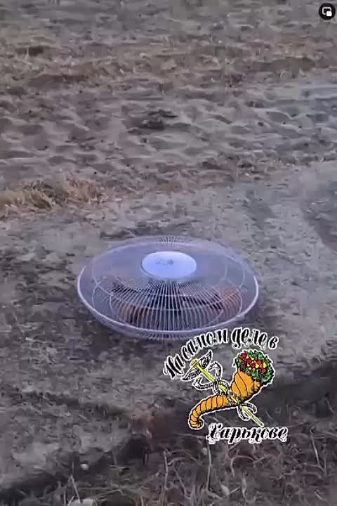 ���� � ������� �� ������ ��� ������� � ���� ���