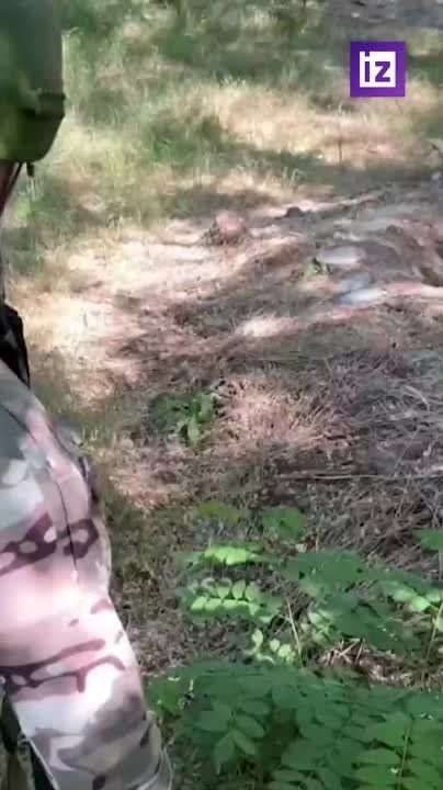 ����� ������� ������������ ������� � ���� ����������� �������� � ����������� ������� ������������ � ��������