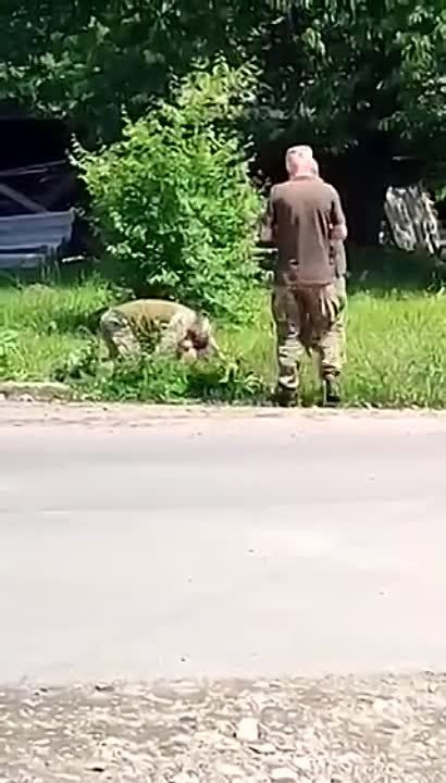 � �������� ����������� �� ���, ���������� "����������" ����������� �� �����