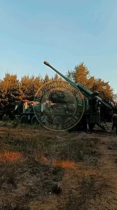 «Мальва» на поле боя: хорошо, но мало!