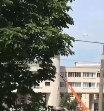     ,    