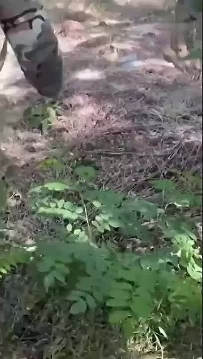 ������� ������� ��� ���������