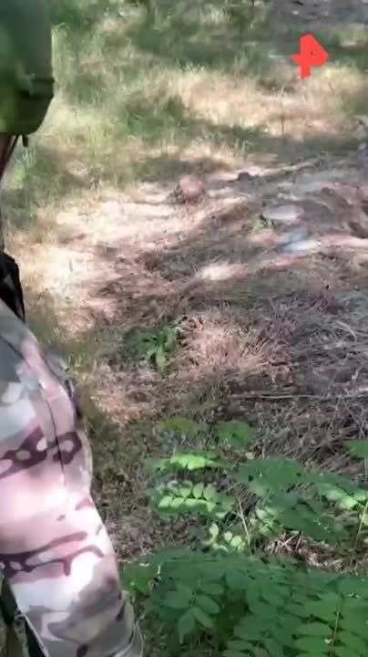 ��� ��� ������������ �������� ����� � ���� ���������� �����