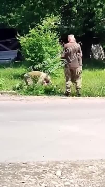 ��������� ������ �������������� ����������� � ����������� �������