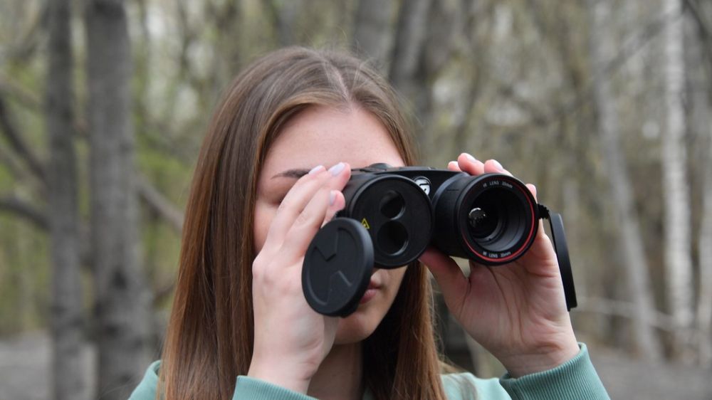 ���� ����� ������, ������ ������ ���: ����������� ���������� �������� �� ����� � �������� ������ ������ �� ���������