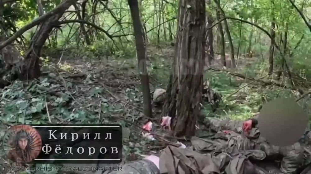 ����� ������ �������� ������� ����������� ����������� ����� "�����" � ����������� �������