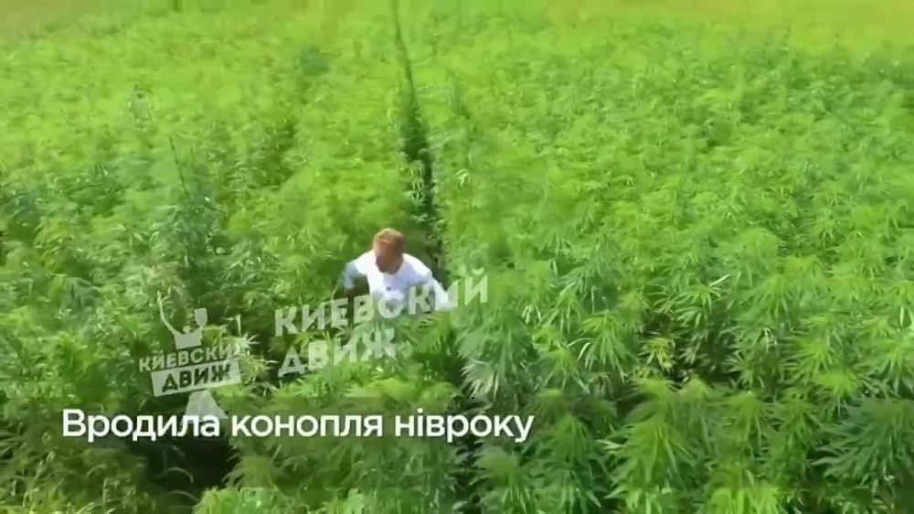 ������� ��������� �������� ����������