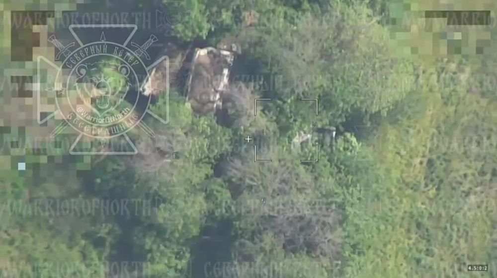 #�����_��_���������_�����