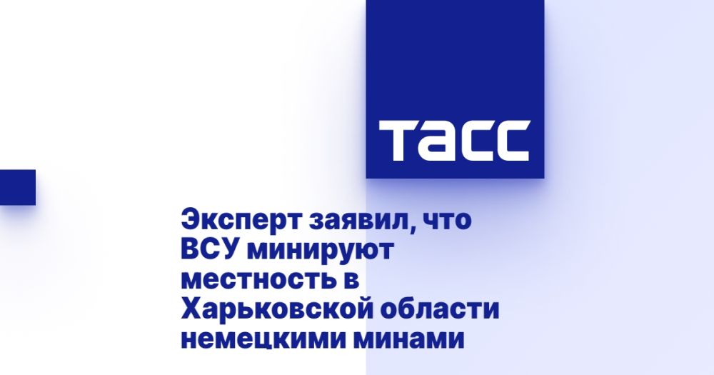 Эксперт заявил, что ВСУ минируют местность в Харьковской области немецкими минами