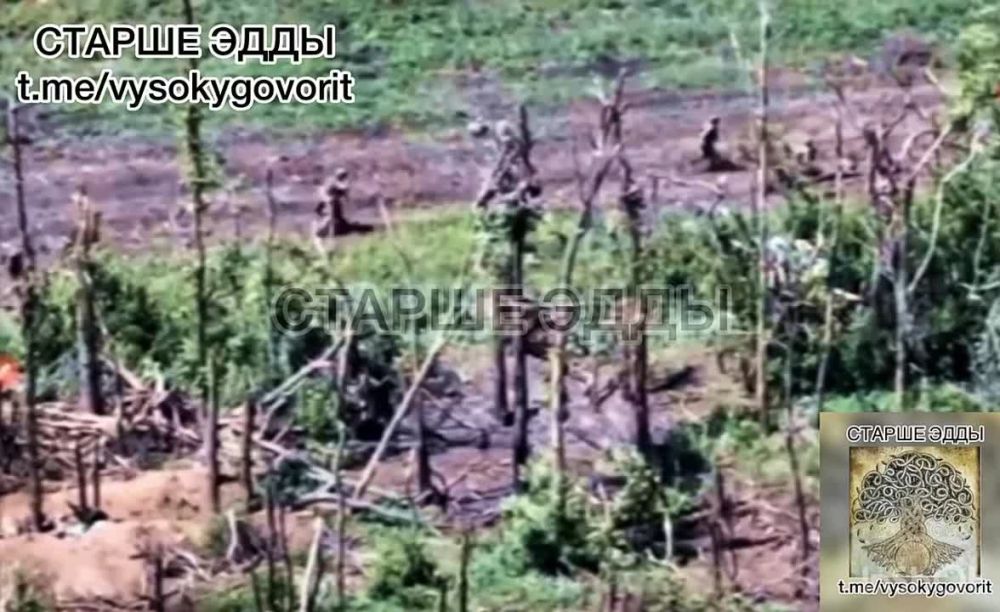 ��������� � ������ ���������� ����� � ������ �������� � ������ �.� �����