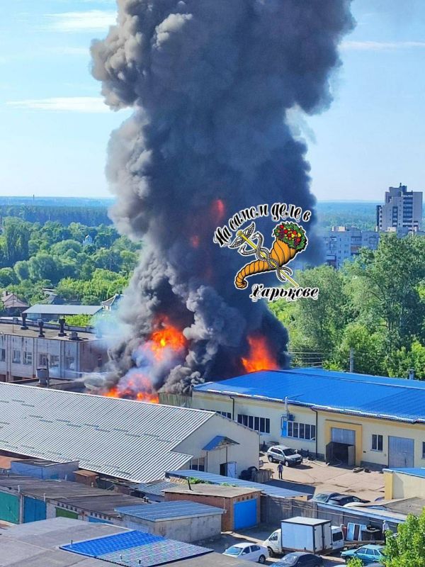 � �������� ����� ������ ������ ������� �����