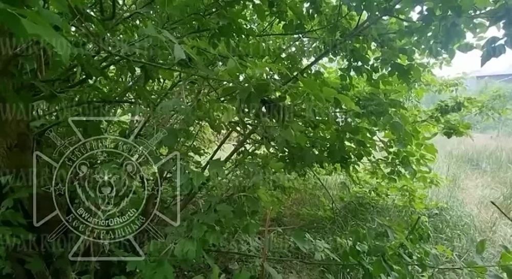 �������� �� ������ ��������� ������ ����������� "�����": ����� 3